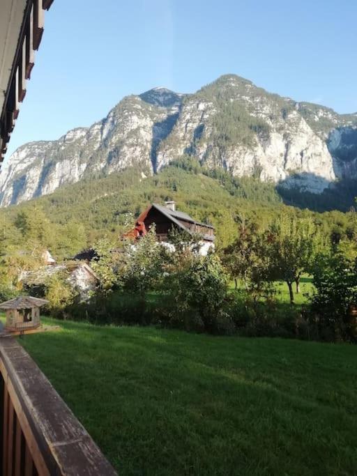 Appartamento Apartma Traumblick Obertraun Esterno foto