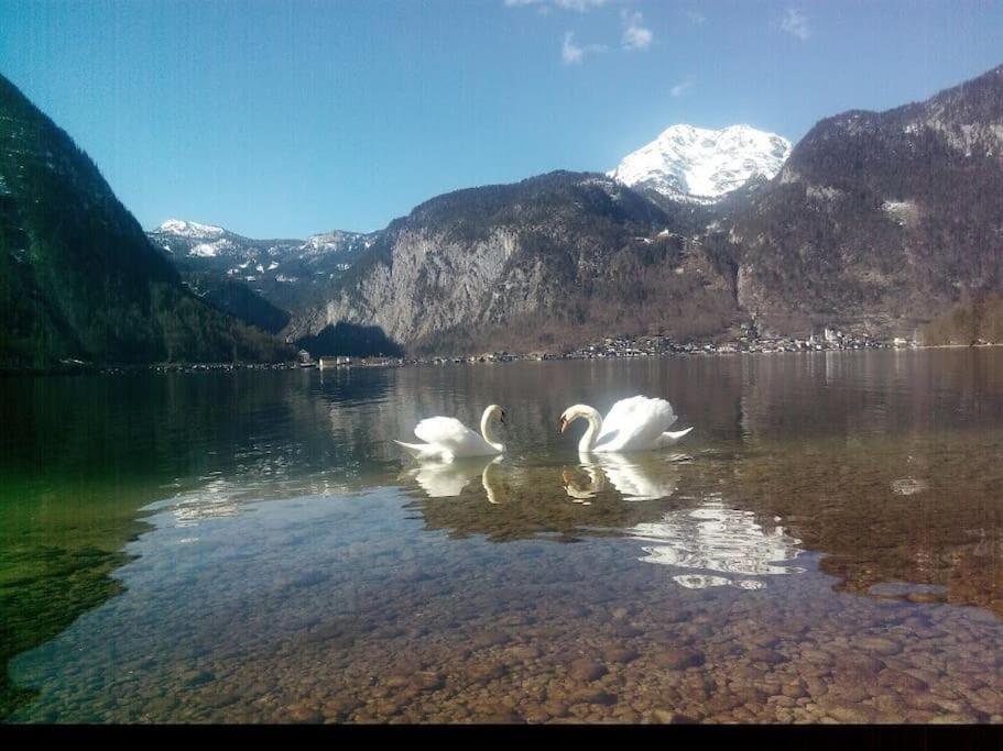 Appartamento Apartma Traumblick Obertraun Esterno foto