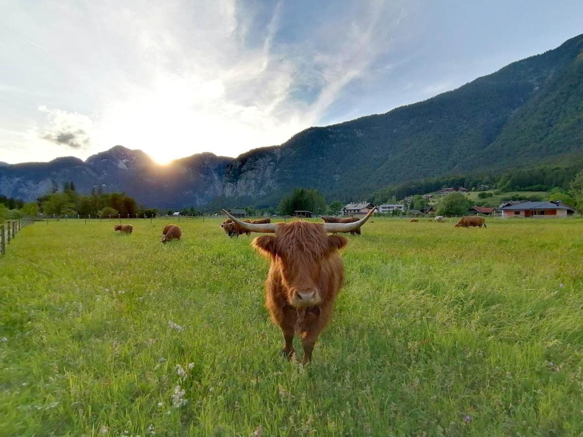 Appartamento Apartma Traumblick Obertraun Esterno foto